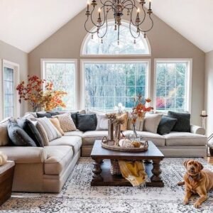 Living Room Interiors